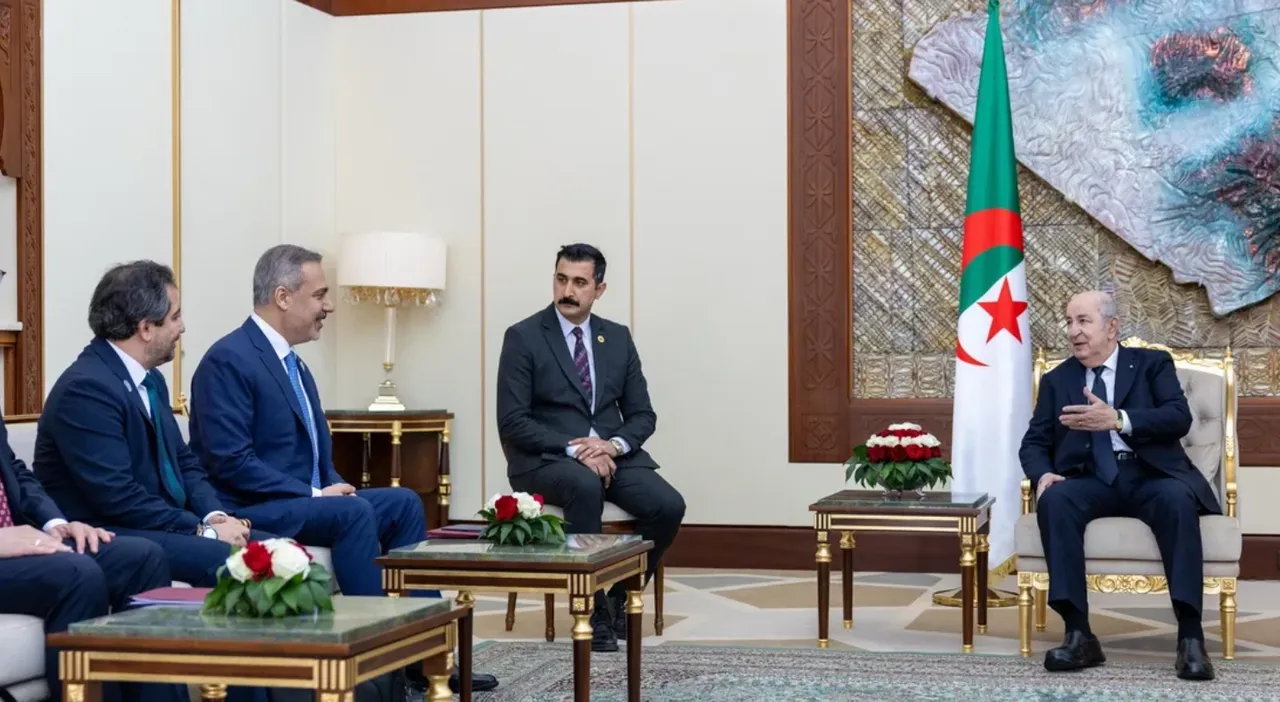 Türkiye, Algeria to deepen regional cooperation and economic ties